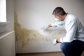 Mold Remediation for Vacation Homes in San Anselmo, CA